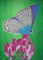 Nectaring