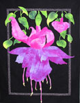 Fuschia