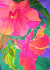 Hibiscus Flower